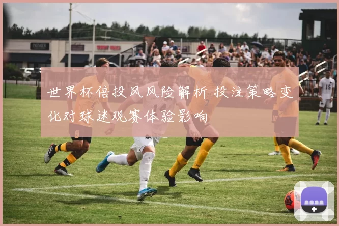 世界杯倍投风风险解析 投注策略变化对球迷观赛体验影响